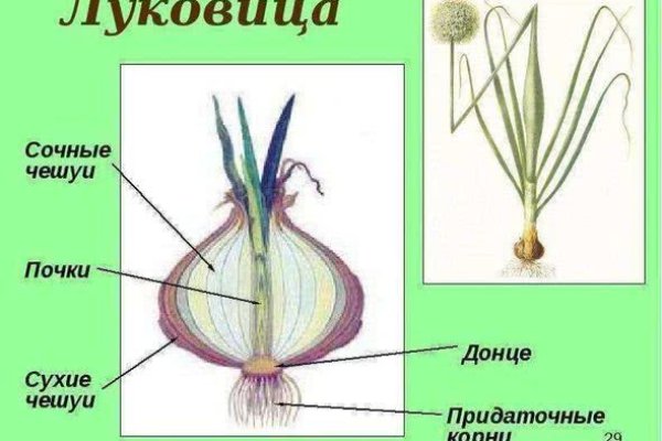Кракен онион