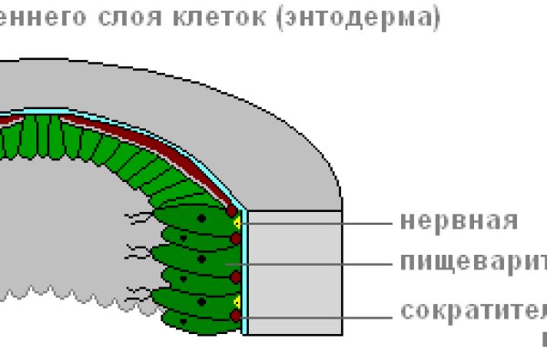 Kraken ссылка kraken014 com