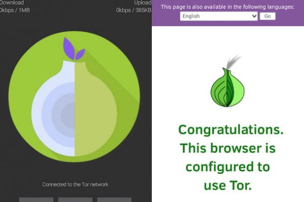 Kraken onion darknet zerkalo